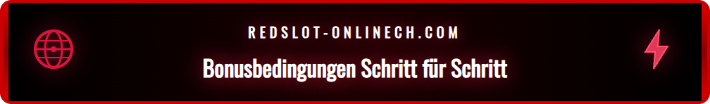 Grafik, die die wichtigsten Punkte der Bonusbedingungen zusammenfasst.